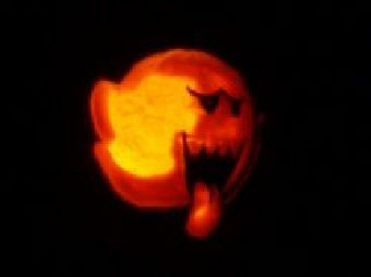 Illustration for article titled Kotaku's Super Huge Pumpkin Patch (Part Two)